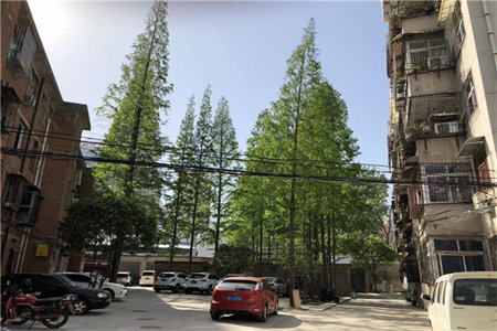 密州幸福时光家园3室2厅1卫55万90m2出售